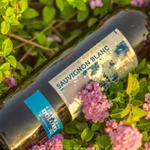 Alternative view of Viña Doña Dolores Sauvignon Blanc