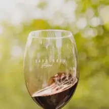 Viña Doña Dolores Cabernet Gran Reserva - Image 3