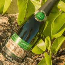 Viña Doña Dolores Brut Reserva - Image 4