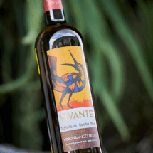 Vivante Blanco Dulce - Image 4