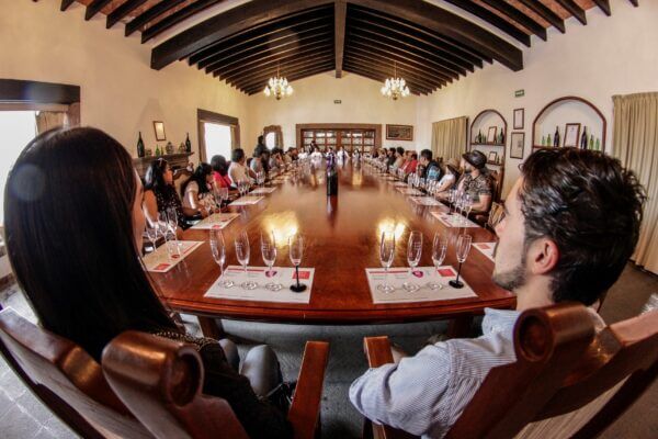 6 Tips del vino para principiantes