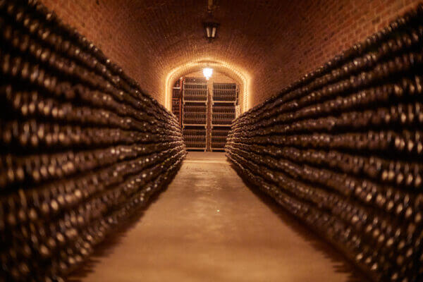 6 Tips del vino para principiantes