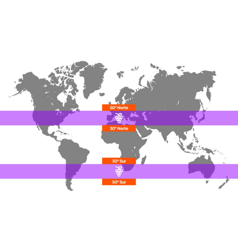 CC FRANJA SINMARCO 1