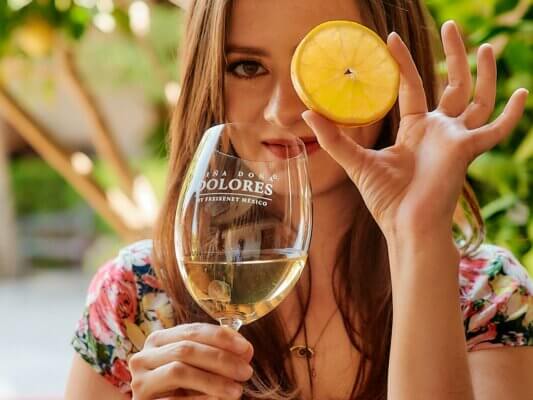 Preguntas más frecuentes sobre el vino