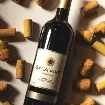 Alternative view of Sala Vivé Marselan