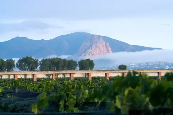 FREIXENET 07 2024 DSC09231