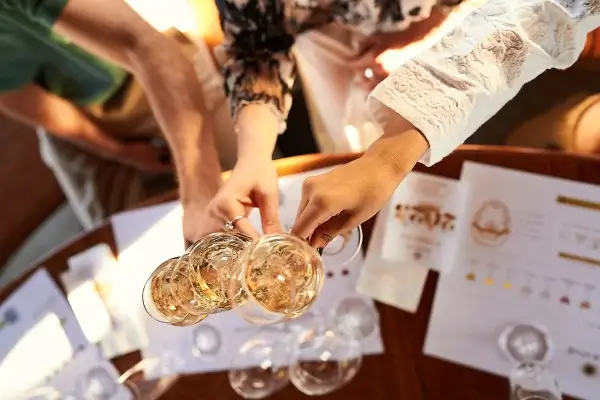 SALA VIVE 04 2025 DSC02224