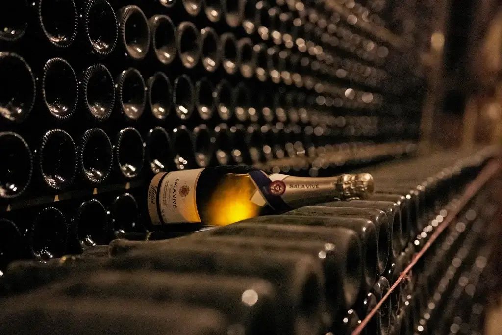 FREIXENET OCT DSC00054 1